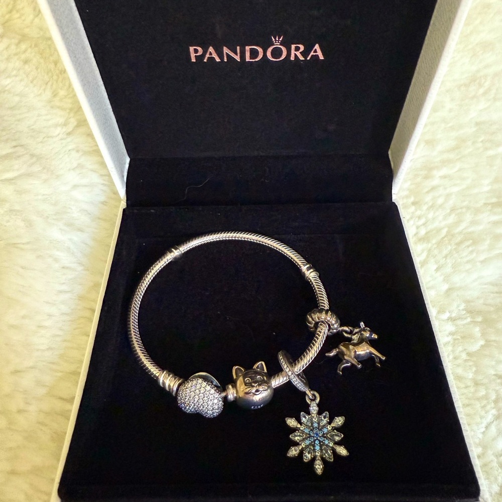 Authentic Never Worn Pandora Bracelet w/ 3 charms.  😻🐎❄️